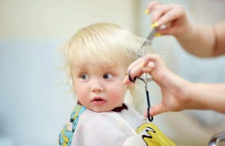 Toddler getting a haircut
